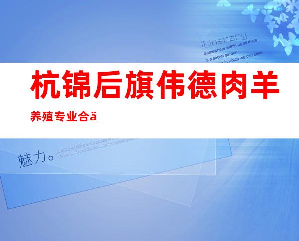 杭锦后旗伟德肉羊养殖专业合作社