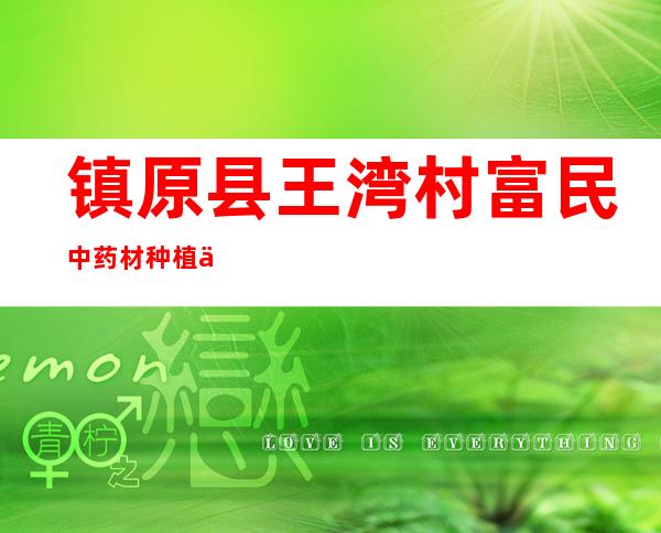 镇原县王湾村富民中药材种植专业合作社